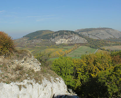 Víno Peřina